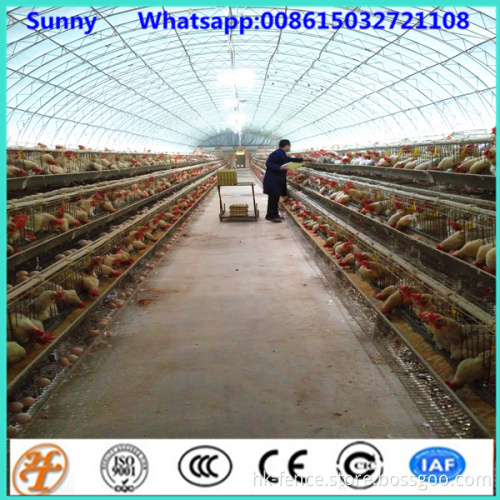 A-type and H -type cage Type and Chicken Use battery cages laying hens sell in algeria